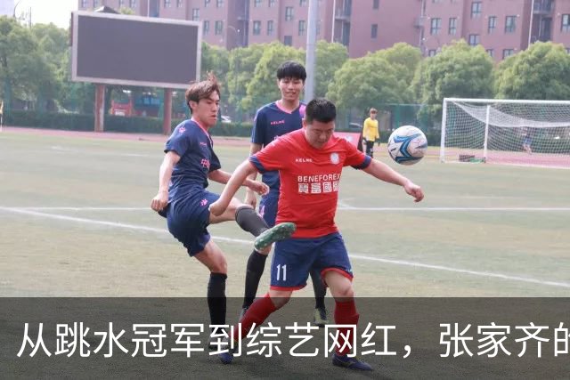 从跳水冠军到"综艺网红"，张家齐的下半场，为什么看得人这么拧巴